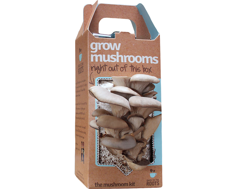 custom mushroom boxes